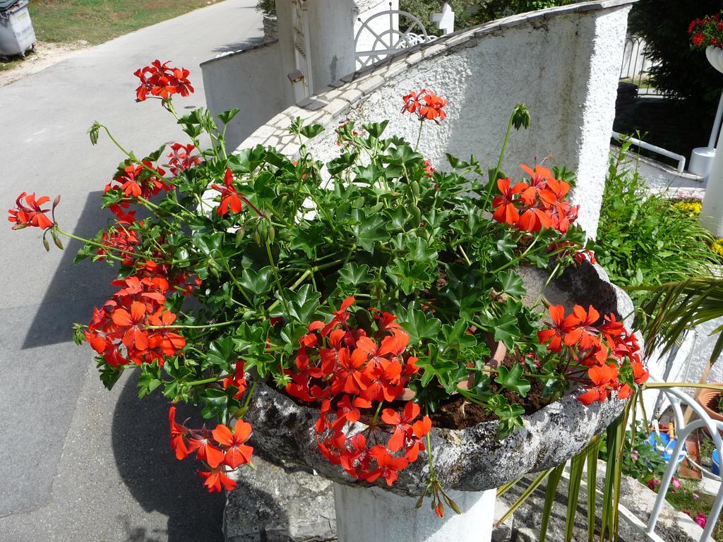 Apartments Noris Пула Екстериор снимка
